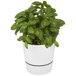 Mepal vaso da cucina...