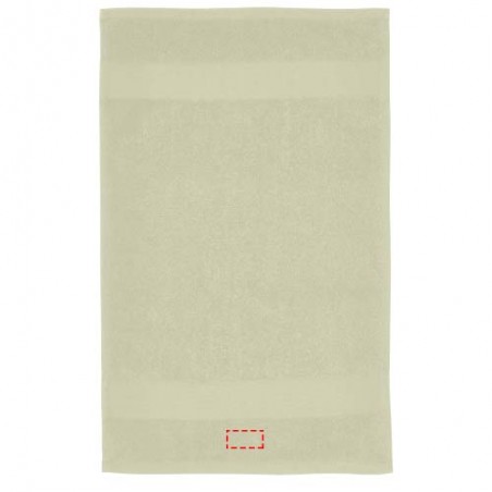Immagine di stampa