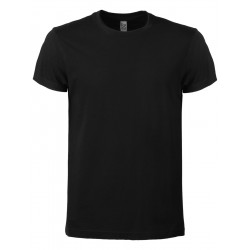 Evolution T