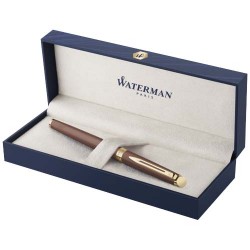 Penna stilografica Waterman...