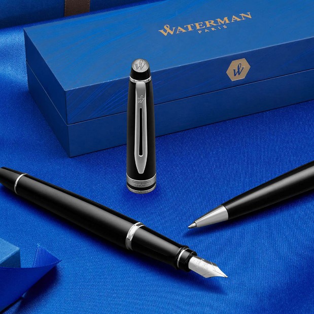 Penna stilografica Waterman Expert