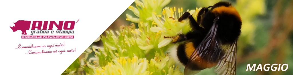 Calendario Eventi e Ricorrenze su Carrellopromozionale.it