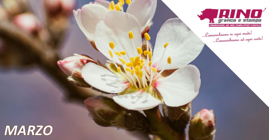 Calendario eventi e ricorrenze su Carrellopromozionale.it