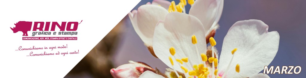 Calendario Eventi e Ricorrenze su Carrellopromozionale.it