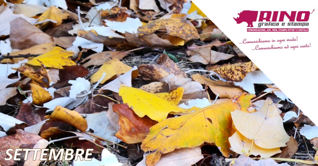 Calendario eventi e ricorrenze su Carrellopromozionale.it