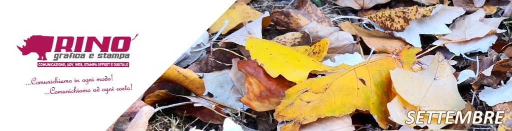 Calendario Eventi e Ricorrenze su Carrellopromozionale.it